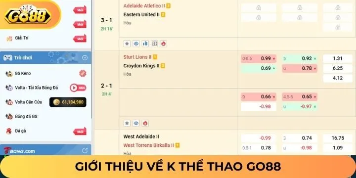 Giới thiệu đôi nét về sảnh cược K thể thao Go88